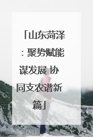 山东菏泽：聚势赋能谋发展 协同支农谱新篇
