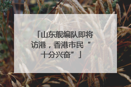 山东舰编队即将访港，香港市民“十分兴奋”