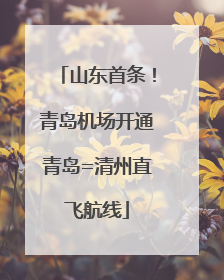 山东首条！青岛机场开通青岛=清州直飞航线