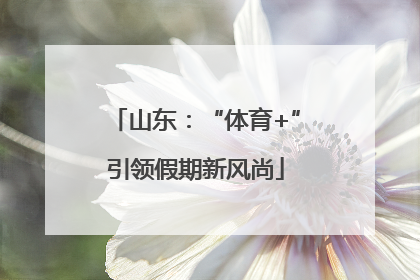 山东：“体育+”引领假期新风尚