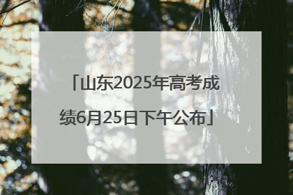 山东2025年高考成绩6月25日下午公布