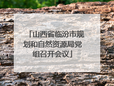 山西省临汾市规划和自然资源局党组召开会议