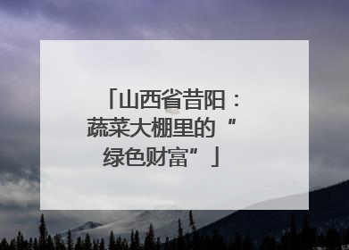 山西省昔阳：蔬菜大棚里的“绿色财富”