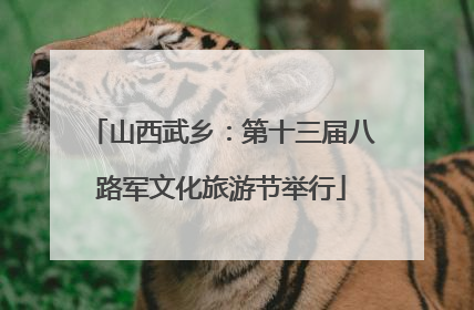 山西武乡：第十三届八路军文化旅游节举行