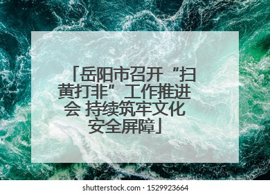 岳阳市召开“扫黄打非”工作推进会 持续筑牢文化安全屏障