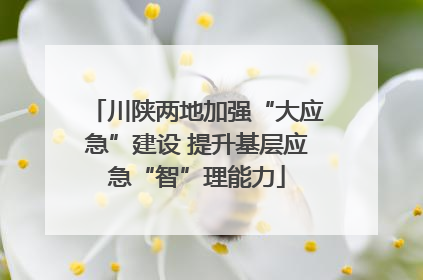 川陕两地加强“大应急”建设 提升基层应急“智”理能力