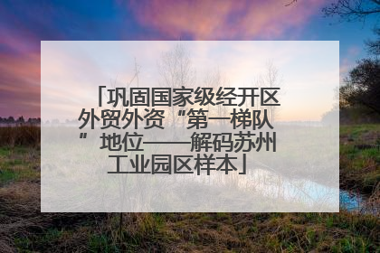 巩固国家级经开区外贸外资“第一梯队”地位——解码苏州工业园区样本