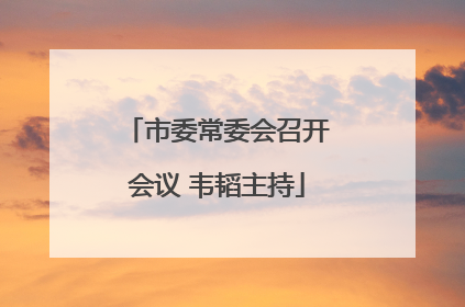 市委常委会召开会议 韦韬主持
