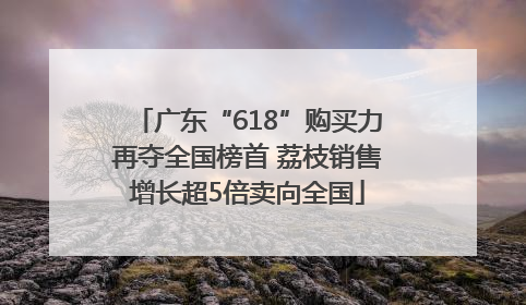 广东“618”购买力再夺全国榜首 荔枝销售增长超5倍卖向全国