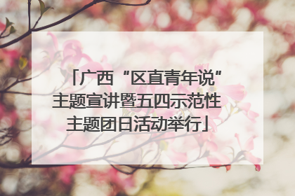 广西“区直青年说”主题宣讲暨五四示范性主题团日活动举行