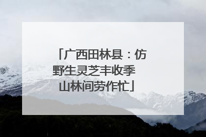 广西田林县：仿野生灵芝丰收季 山林间劳作忙