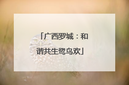广西罗城：和谐共生鹭鸟欢