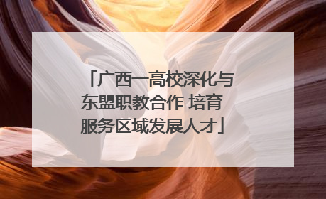 广西一高校深化与东盟职教合作 培育服务区域发展人才