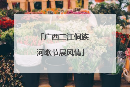 广西三江侗族河歌节展风情