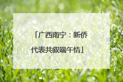广西南宁：新侨代表共叙端午情