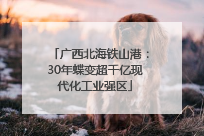 广西北海铁山港：30年蝶变超千亿现代化工业强区