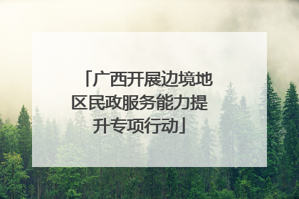 广西开展边境地区民政服务能力提升专项行动