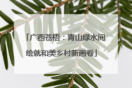 广西苍梧：青山绿水间绘就和美乡村新画卷