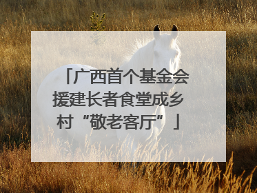 广西首个基金会援建长者食堂成乡村“敬老客厅”