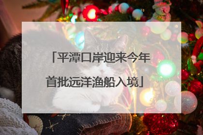 平潭口岸迎来今年首批远洋渔船入境