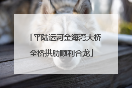 平陆运河金海湾大桥全桥拱肋顺利合龙