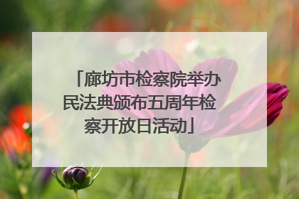 廊坊市检察院举办民法典颁布五周年检察开放日活动
