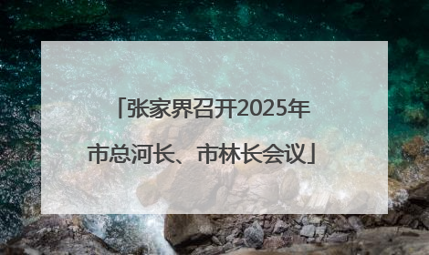 张家界召开2025年市总河长、市林长会议