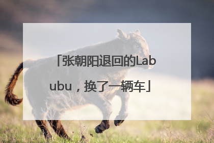 张朝阳退回的Labubu，换了一辆车