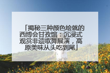 揭秘三种颜色绘就的西博会甘孜馆：沉浸式观赏非遗歌舞展演，高原美味从头吃到尾