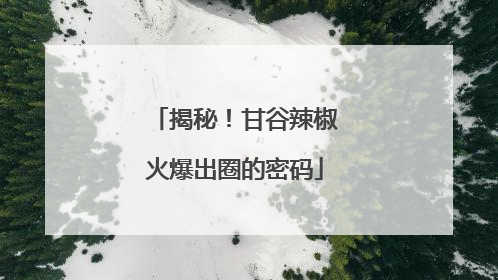 揭秘！甘谷辣椒火爆出圈的密码