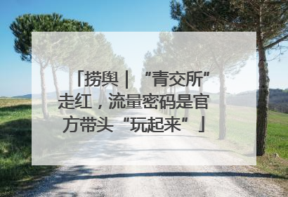 捞舆｜“青交所”走红，流量密码是官方带头“玩起来”
