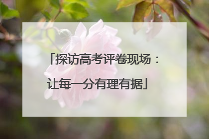 探访高考评卷现场：让每一分有理有据
