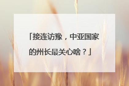 接连访豫，中亚国家的州长最关心啥？