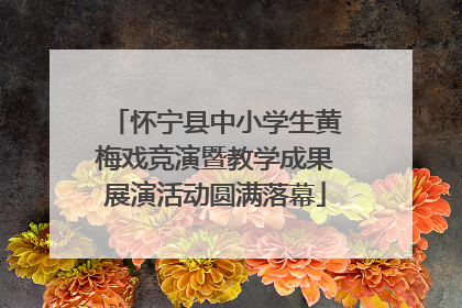 怀宁县中小学生黄梅戏竞演暨教学成果展演活动圆满落幕
