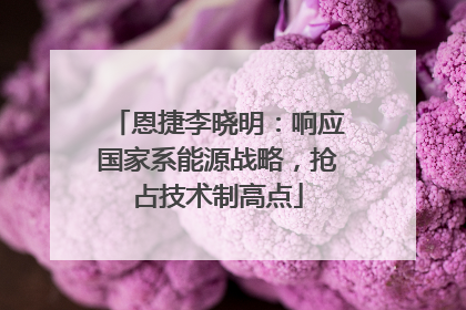 恩捷李晓明：响应国家系能源战略，抢占技术制高点