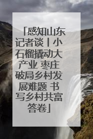 感知山东记者谈丨小石榴撬动大产业 枣庄破局乡村发展难题 书写乡村共富答卷