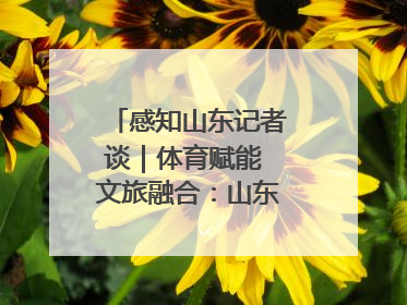 感知山东记者谈｜体育赋能 文旅融合：山东打造体商文旅融合发展新格局