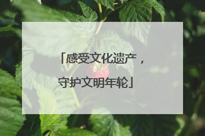 感受文化遗产，守护文明年轮