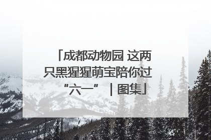 成都动物园 这两只黑猩猩萌宝陪你过“六一”｜图集