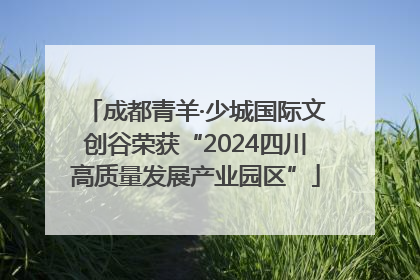 成都青羊·少城国际文创谷荣获“2024四川高质量发展产业园区”