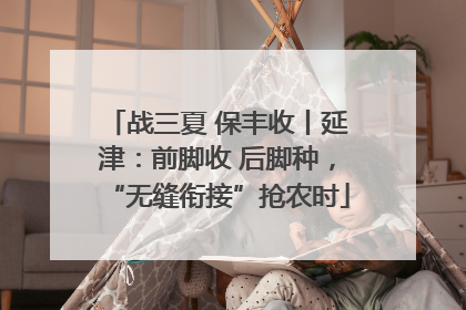 战三夏 保丰收丨延津：前脚收 后脚种，“无缝衔接”抢农时
