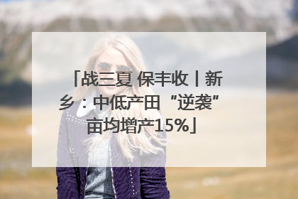 战三夏 保丰收丨新乡：中低产田“逆袭” 亩均增产15%