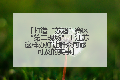 打造“苏超”赛区“第二现场”！江苏这样办好让群众可感可及的实事