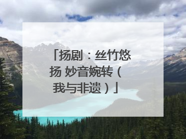 扬剧：丝竹悠扬 妙音婉转（我与非遗）