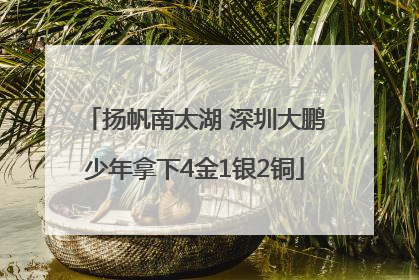 扬帆南太湖 深圳大鹏少年拿下4金1银2铜