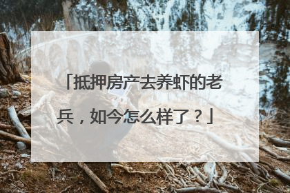 抵押房产去养虾的老兵，如今怎么样了？