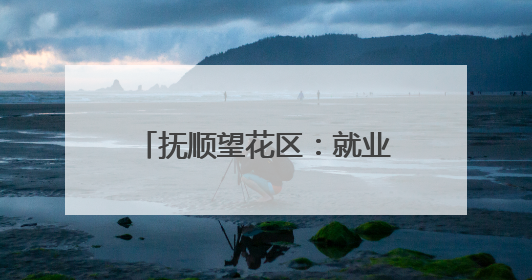 抚顺望花区：就业服务“出圈” 居民幸福“加码”