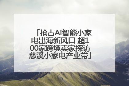 抢占AI智能小家电出海新风口 超100家跨境卖家探访慈溪小家电产业带