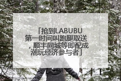 抢到LABUBU第一时间叫跑腿取送，顺丰同城等即配成潮玩经济参与者