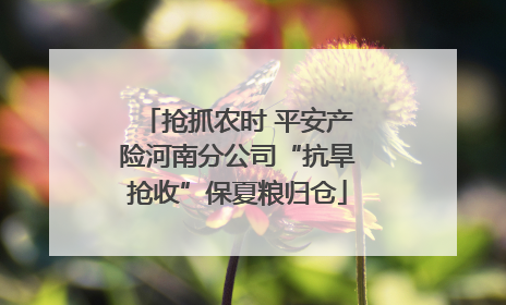 抢抓农时 平安产险河南分公司“抗旱抢收”保夏粮归仓